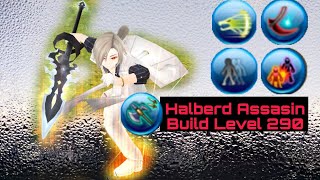 Build Halberd Assasin Level 290  Toram Online [upl. by Bunny]