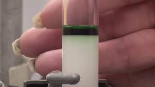 Column chromatography [upl. by Brause]