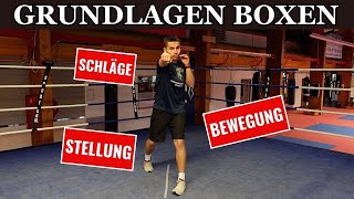 Grundlagen Boxen Training für Anfänger Zuhause [upl. by Milissa263]