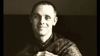 Adyashanti  No life living thrue me [upl. by Shieh]