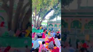 Kaliyar Sharif dargah Sharif youtuber kavvali trending kavvali viralreels viralshort [upl. by Deutsch]