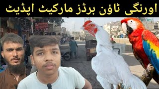 Orangi town Birds Market Leates update  10112024  Hafiz Asharib Birds Aviary [upl. by Beeck461]