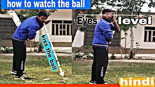 how to watch the ball till the end in cricket kiss the ball sports yard [upl. by Simone]