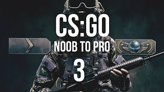 Unsportliches Verhalten  Counterstrike Global Offensive  Vom Noob zum Pro 003 [upl. by Kumagai860]