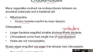 BIOL 1407 Lecture 28 Protists [upl. by Candra605]