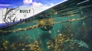 Built to Fish Ep 04 The Coromandel Mussel Farms [upl. by Friedly]