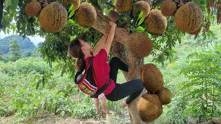 Full videos 60 days natural harvest of fruits to sell at market  taking care of 3 month old baby [upl. by Ingaborg]