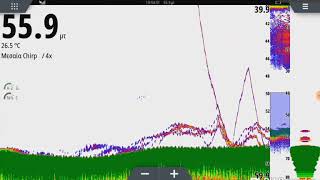 Fishing with simrad nss evo 3 tm185 [upl. by Nwahsed]