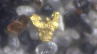 gold lamproite saprolite [upl. by Arst]