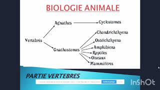 Biologie animale les agnathes شرح [upl. by Broderic876]