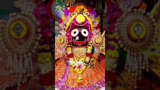 Jibana ku ki aba bharasha  odia bhajan  whatsapp update nandai song songwhatsappstatus [upl. by Akirej]