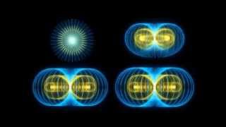 Strength Sacred Geometry Torus Visual [upl. by Ploss]