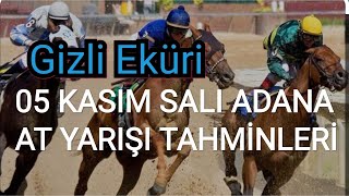 05 KASIM 2024 SALI ADANA AT YARIŞI TAHMİNLERİ GİZLİ EKÜRİ KANALİMİZDA [upl. by Reggis]