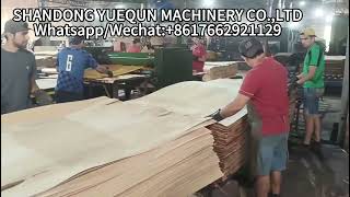 Paraguayan customer plywood factory Plywood Glue Spreader Machine [upl. by Lombardo]