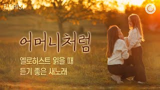 엘로히스트 읽을 때 듣기 좋은 새노래 11│2024 [upl. by Ahcsropal]