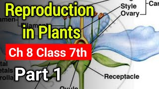 Reproduction in Plants Chapter 8 Class 7th  NCERT Book Science Ch 8 Class 7th Explanation Part 1 [upl. by Elysia]