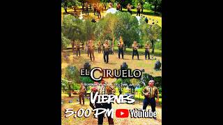 El Ciruelo Próximo Estreno [upl. by Crow]