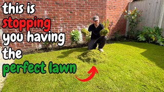 Its time to SCARIFY and VERTICUT your lawn  Autumn Lawn Tips [upl. by Nollid251]