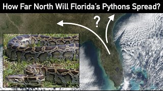 How Far North Will Floridas Pythons Spread  Invasive Biogeography [upl. by Eladroc430]