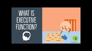 What is Executive Function [upl. by Everest]