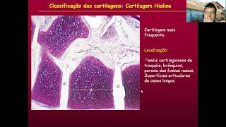 Histologia do Tecido Cartilaginoso – Parte 02 [upl. by Soneson]