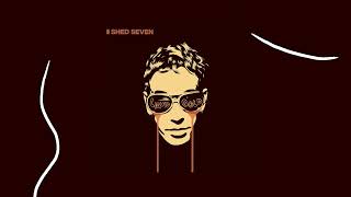 Shed Seven  Disco Down Liquid Gold Version Official Audio [upl. by Ecnesse807]