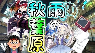 （夜編） 雨の秋葉原を徘徊しました （作業用動画） It rained in Akihabara [upl. by Ainet]