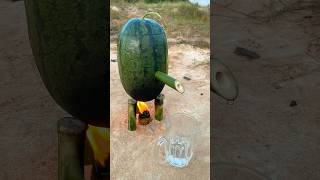 Survival skills steam bad water in watermelon bushcraft camping outdoors [upl. by Prouty]