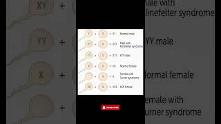 Understanding Chromosomal Disorders Klinefelter Turner Syndrome amp More Explained [upl. by Eyllom]