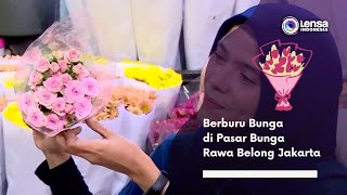 Berburu Bunga di Pasar Bunga Rawa Belong Jakarta [upl. by Iah]