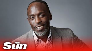 Michael K Williams tributes from costars after The Wire amp Boardwalk Empire stars death [upl. by Anawait]