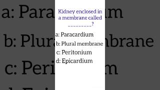 kidney membrane biology important mcqs youtubeshorts [upl. by Malo]