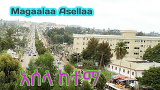 Magaalaa Asellaa  አሰላ ከተማ  asela city  kutaa 1ffaa dawaadhaa  HIRKO MEDIA [upl. by Eniamraj]