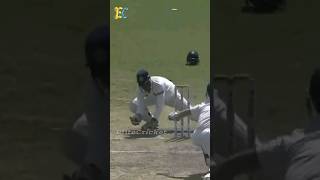 Part 3  MS Dhoni in God Mode Behind the Stumps  lighting stumping by Thala msdhoni dhoni msd [upl. by Soisanahta]