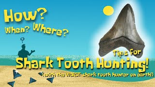 Shark tooth hunting tips with Retro Myrtle Beach Guy [upl. by Siderf119]