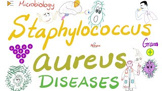 Staphylococcus Aureus Diseases  Skin Toxic Shock Syndrome Food 🥘 poisoning ☠️  Microbiology 🧫 [upl. by Tada]