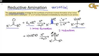 0910 Reductive Amination [upl. by Elum]