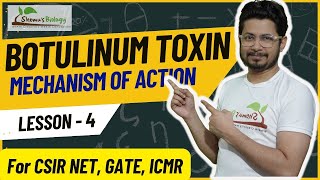 Botulinum toxin mechanism of action  Neurotoxin mode of action [upl. by O'Mahony]