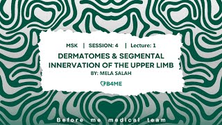 MSK S4  Dermatomes amp Segmental Innervation Of The Upper Limb [upl. by Yelad]