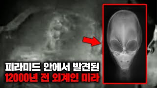 소련 KGB가 이집트 피라미드 안에서 발견했다는 12000년 된 외계인 미라의 정체 미스터리 [upl. by Iad103]