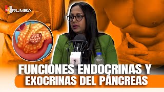 CATEDRA MEDICA Funciones Endocrinas y Exocrinas del Páncreas [upl. by Dranreb589]