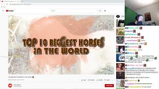 Forsen reacts to THE BIGGEST HORSES in the world [upl. by Aisyla767]