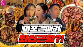 마포파 서래파 그 갈매기집🕊️ 마포갈매기 최신근황 [upl. by Macgregor]