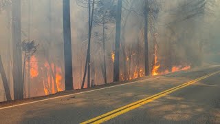 USA Fortschritte beim Kampf gegen „Parkfire“ in Kalifornien [upl. by Lisbeth934]