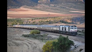 Al Andalus subiendo la rampa de Moreda y Talgo en Pedro Martínez [upl. by Ruffin]