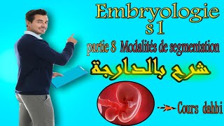 Embryologie s1  partie 8  Modalités de segmentation  شرح بالدارجة [upl. by Oizirbaf]