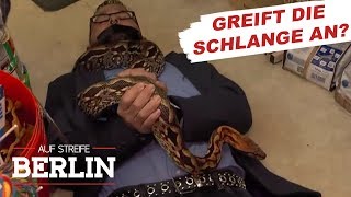 Chaos in der Zoohandlung Reptil ausgebrochen  Auf Streife  Berlin  SAT1 TV [upl. by Edelsten]