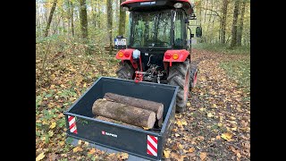 Brennholz aus dem Wald  Makita DUC353  Saphir TL 150  Branson 5025C [upl. by Norby]