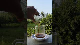 Decoction tea  simple and easy tea lovers try it youtubeshorts youtubevideos [upl. by Tisbee]