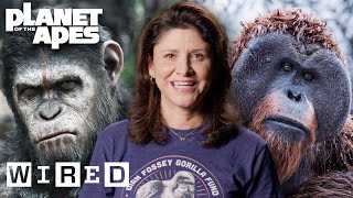 Every Ape in Planet of the Apes Explained  WIRED [upl. by Ahsikat]